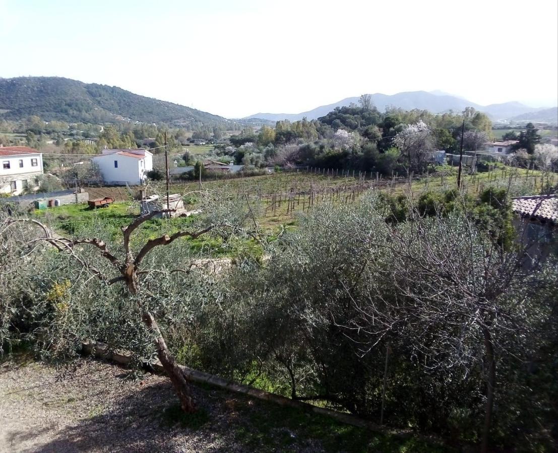 Appartamento Titina Jerzu Exterior foto